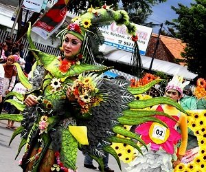 Malang Flower Carnival ( MFC ) 2012