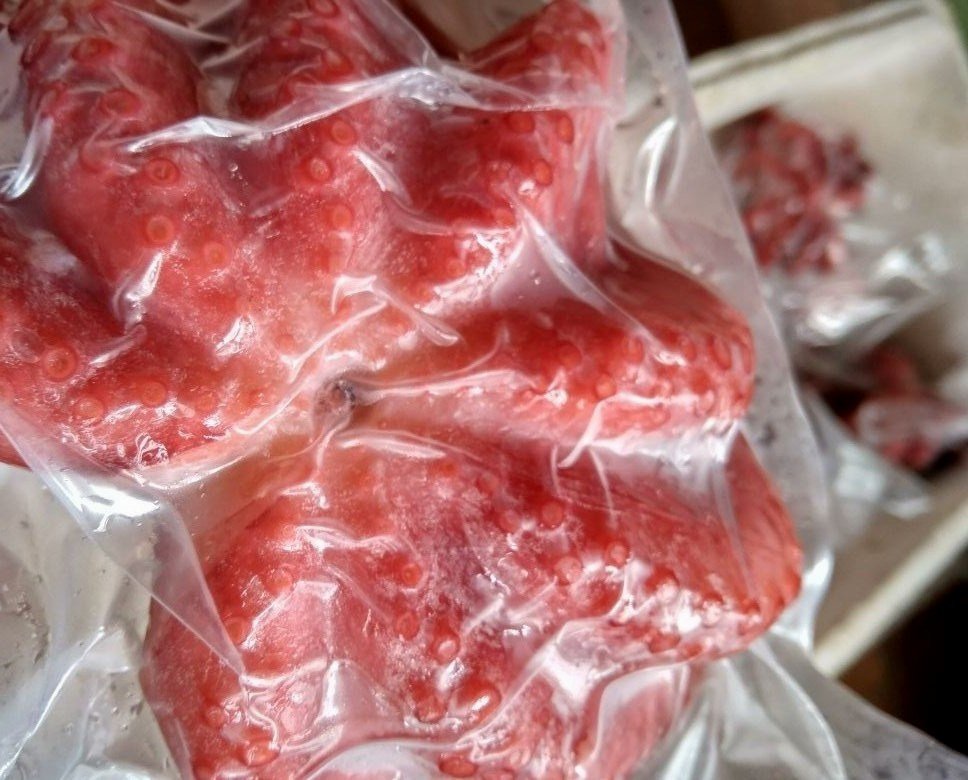 Supplier Gurita (Frozen Food) di Malang